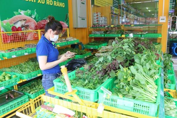 Đồng Tháp và hành trình xây dựng thương mại điện tử hiện đại
