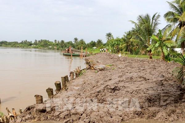 Vĩnh Long cơ bản khắc phục sạt lở đoạn đê bao sông Măng Thít