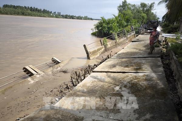 Vĩnh Long công bố tình huống khẩn cấp sạt lở bờ kè sông Giao Hòa