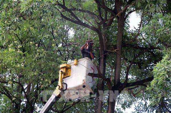 EVN yêu cầu toàn hệ thống trực ban 24/24