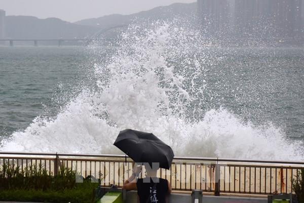 Hơn 1.000 chuyến bay bị hủy tại sân bay Hong Kong (Trung Quốc) do bão RAGASA