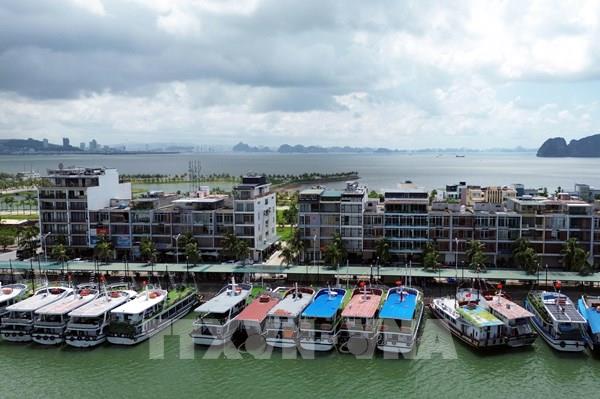 EVN yêu cầu cập nhật báo cáo ba lần mỗi ngày khi bão đổ bộ
