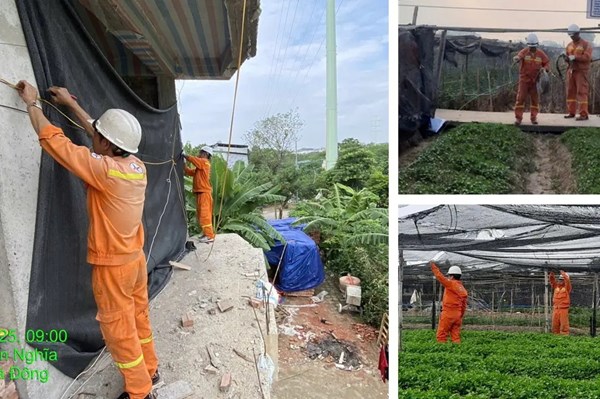 Ứng phó bão số 9: Lên phương án giữ an toàn lưới điện truyền tải phía Bắc