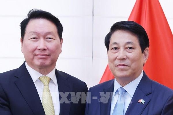 Chủ tịch nước Lương Cường tiếp Chủ tịch Tập đoàn SK Group