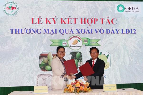 Ký kết hợp tác thương mại hóa giống xoài Cát Lộc Phát