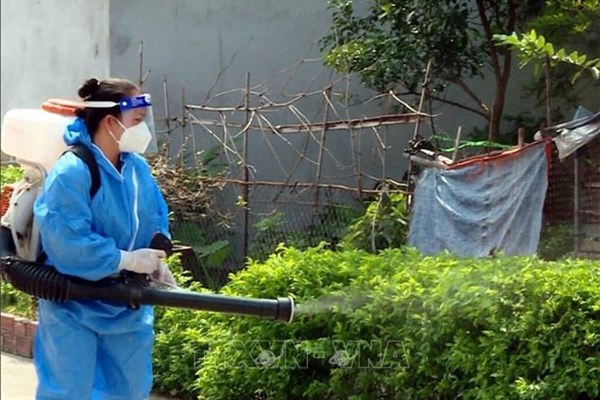 Chủ động phát hiện sớm và xử lý triệt để ổ dịch sốt xuất huyết