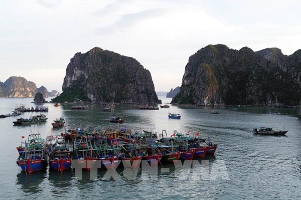 Ảnh hưởng của bão BUALOI, vùng biển phía Đông khu vực Bắc và giữa Biển Đông có gió mạnh, sóng lớn