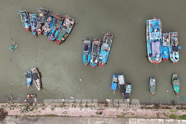 Ứng phó bão số 10: Gia Lai kêu hơn 140 tàu thuyền di chuyển về nơi an toàn
