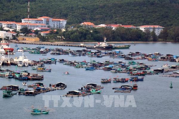 Đầu tư xứng tầm cho nghề nuôi biển
