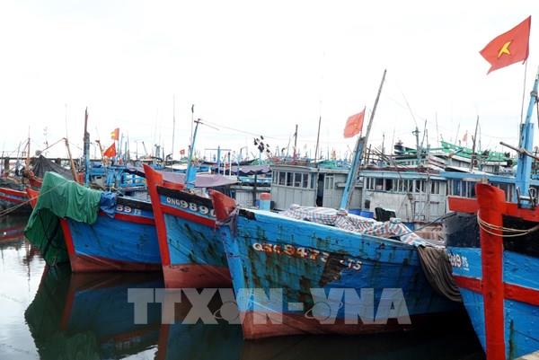 Từ Hà Tĩnh đến Quảng Ngãi bảo vệ công trình trước mưa lớn do bão số 12