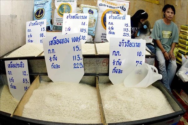 Giá gạo xuất khẩu của Thái Lan giảm xuống mức thấp nhất trong gần 9 năm