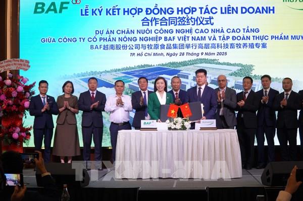 Doanh nghiệp Việt - Trung hợp tác cung ứng lợn thịt cho khu vực phía Nam