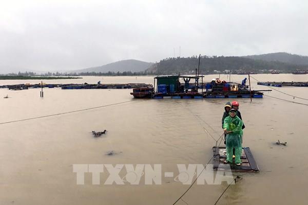Toàn bộ học sinh Nghệ An nghỉ học trong ngày mai 29/9