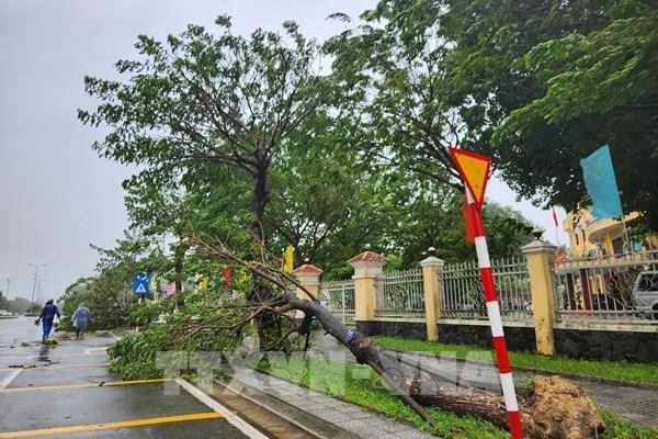 Bão số 10: Huế khẩn trương khắc phục thiệt hại, bảo đảm an toàn cho người dân