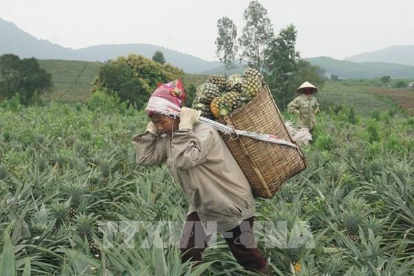 Ngày 1/10 Bộ trưởng Bộ Công Thương sẽ đối thoại trực tiếp với nông dân