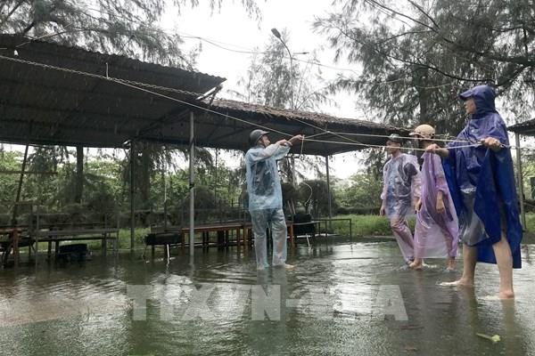 Bão số 10: Nghệ An cấm đường tạm thời từ 23 giờ ngày 28/9