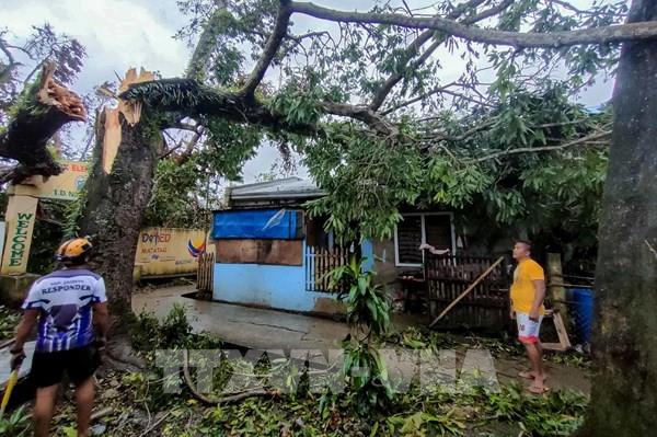 Bão BUALOI và hệ lụy dài hạn đối với các khu vực chịu ảnh hưởng