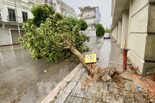 Thống kê sơ bộ thiệt hại do ảnh hưởng của bão số 10 tại Quảng Trị