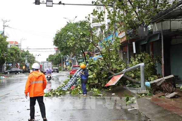 Giông lốc và mưa bão khiến 27 người thương vong ở Ninh Bình