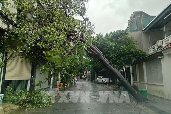 Thanh Hóa: 1 người chết kèm nhiều thiệt hại nặng nề