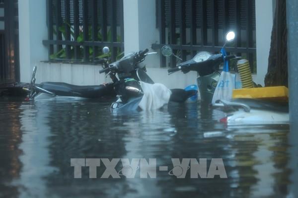 Hà Nội yêu cầu các trường học không tổ chức sinh hoạt ngoại khóa trong mưa bão