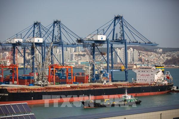 Kinh tế thế giới tháng 9/2025: Khả năng chống chịu tốt trước những cú sốc chính sách