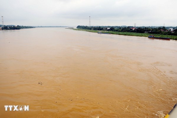 Hà Nội: Mưa to nước sông Tích vượt báo động 2, hằng trăm ha lúa, rau màu bị ngập úng