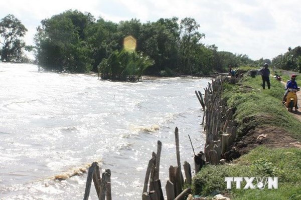 ĐBSCL đối mặt đỉnh lũ kết hợp triều cường, nguy cơ ngập úng nghiêm trọng