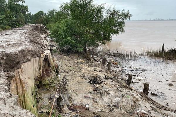 Cấp bách ứng phó sạt lở bờ sông ở Vĩnh Long