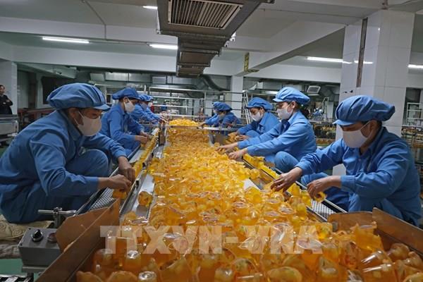 Kinh tế Việt Nam qua góc nhìn quốc tế: Đà tăng trưởng 2025 mở rộng niềm tin