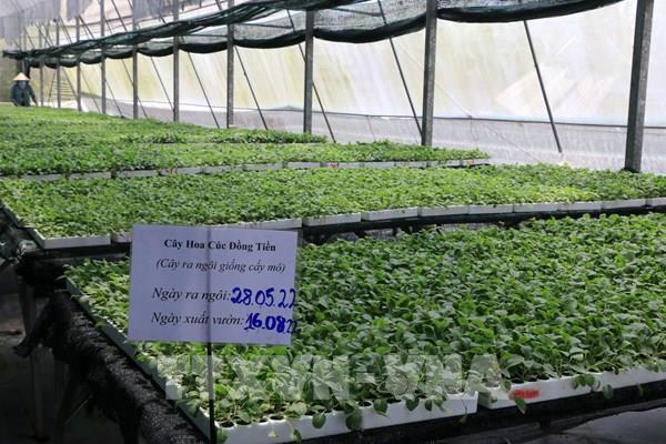 Sửa đổi 15 luật trong lĩnh vực nông nghiệp và môi trường: Gỡ "điểm nghẽn", tạo đột phá