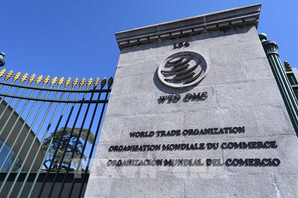 Tranh chấp thương mại của Indonesia tại WTO có thể kéo dài tới 13 năm