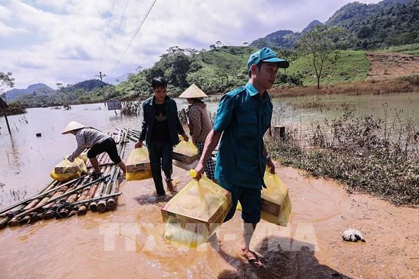 Ứng phó bão số 11: Phú Thọ ưu tiên xử lý công trình khẩn cấp