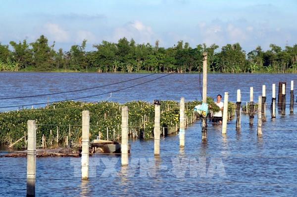 Ứng phó bão số 11: Ninh Bình chuẩn bị phương án bảo đảm tuyệt đối an toàn cho người dân