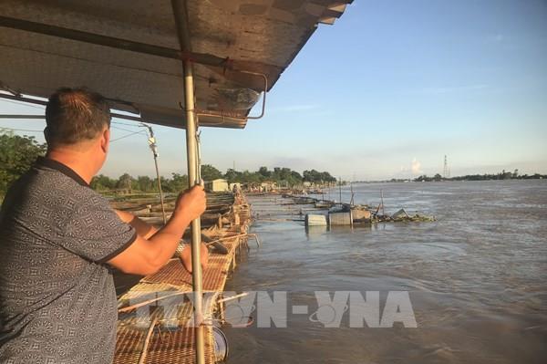 Nước lũ dâng cao, người nuôi cá lồng Hải Phòng có nguy cơ mất trắng