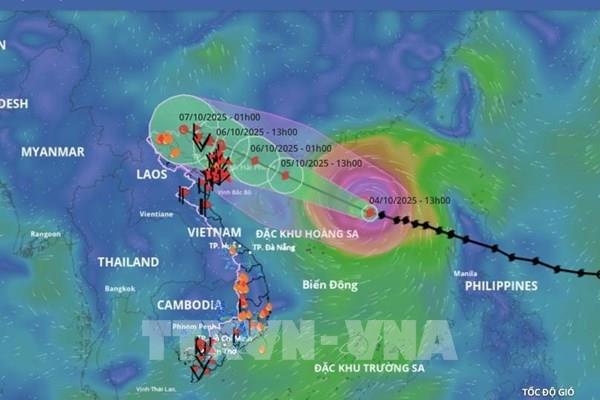 Dự báo mới nhất đường đi bão số 11 trong hai ngày tới
