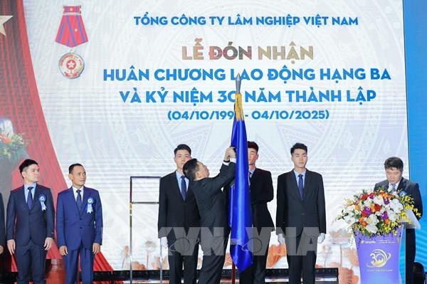 Phát triển VINAFOR trở thành tập đoàn lâm nghiệp quy mô lớn