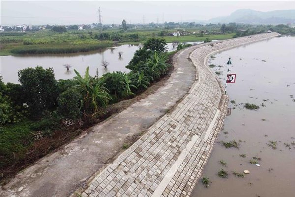 Ứng phó bão số 11: Hải Phòng huy động toàn lực bảo vệ hơn 700 km đê điều