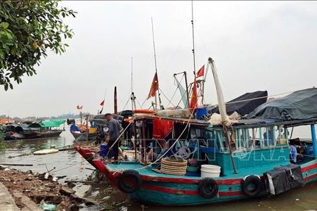 Dự báo, đêm 5/10, bão số 11 trên vùng biển Quảng Ninh với sức gió rất mạnh