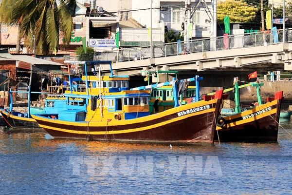 Lâm Đồng giữ vững ngư trường, nói không với khai thác IUU