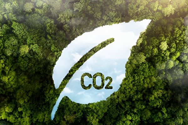 Trung Quốc: Ngập úng đe dọa “kho carbon” ở Tây Tạng