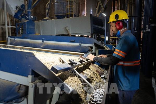 Brazil kêu gọi Tổng thống Trump dỡ bỏ thuế 40% áp lên hàng hóa Brazil