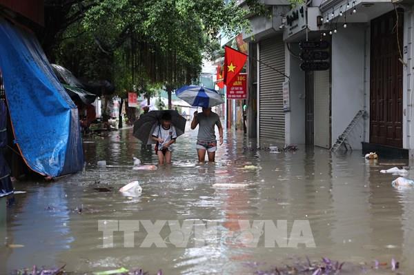 Mưu sinh giữa biển nước Hà Nội