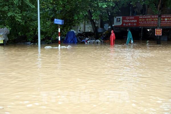 Mực nước tại thượng lưu vẫn ở mức cao, Tuyên Quang bảo đảm an toàn cho người dân