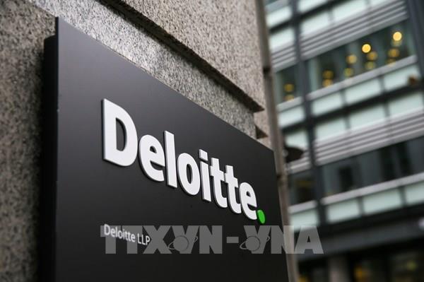 Deloitte hoàn trả một phần hợp đồng cho Chính phủ Australia sau sai sót do sử dụng AI