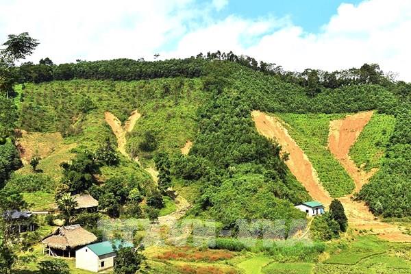Ngành xây dựng ứng phó nguy cơ mưa lũ, lũ quét, sạt lở đất do ảnh hưởng bão số 11