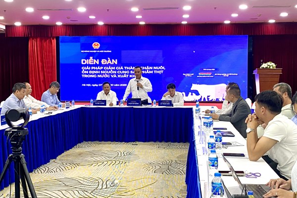 Làm gì để giảm giá thành chăn nuôi, ổn định nguồn cung thịt trong nước và xuất khẩu?
