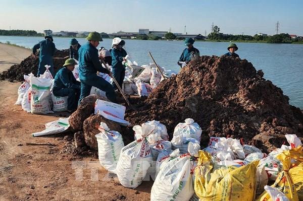 Vỡ đê bối tại Bắc Ninh, hơn 900 ha cây trồng và vật nuôi bị ngập