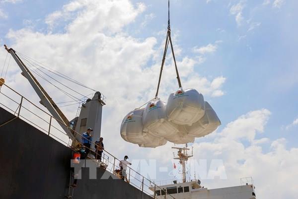 Ngành lúa gạo chủ động thích ứng khi cung vượt cầu