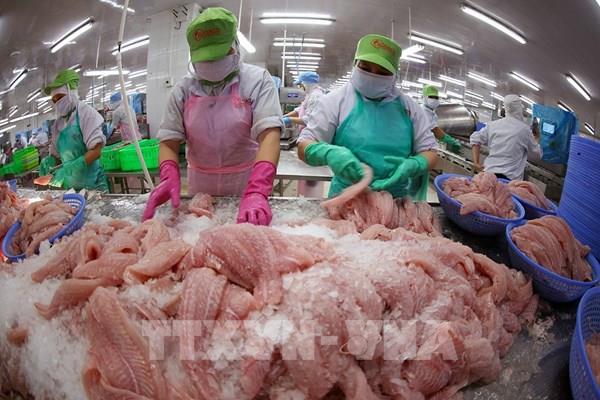 Kinh tế Việt Nam dự báo duy trì đà tăng trưởng tích cực trong giai đoạn 2025-2026